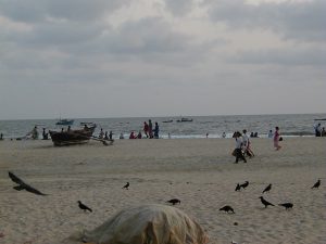 インド　コルヴァビーチ　カラス