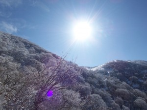 01　霊仙山　樹氷　太陽