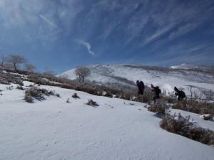 03　霊仙山　雪が積もった山頂付近　